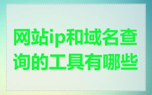 网站ip和域名查询的工具有哪些