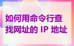 如何用命令行查找网址的 IP 地址