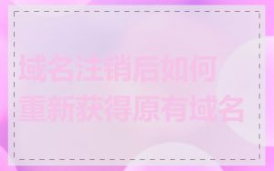 域名注销后如何重新获得原有域名