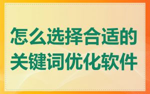 怎么选择合适的关键词优化软件