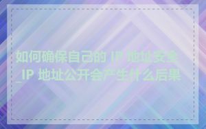 如何确保自己的 IP 地址安全_IP 地址公开会产生什么后果