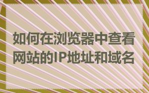 如何在浏览器中查看网站的IP地址和域名