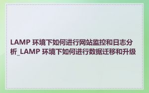 LAMP 环境下如何进行网站监控和日志分析_LAMP 环境下如何进行数据迁移和升级