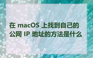 在 macOS 上找到自己的公网 IP 地址的方法是什么