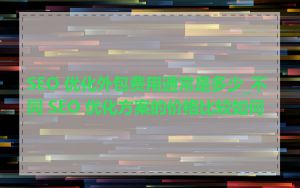 SEO 优化外包费用通常是多少_不同 SEO 优化方案的价格比较如何
