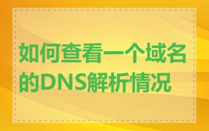 如何查看一个域名的DNS解析情况