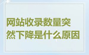 网站收录数量突然下降是什么原因