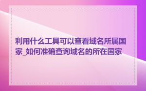 利用什么工具可以查看域名所属国家_如何准确查询域名的所在国家