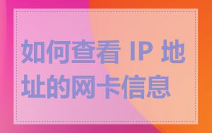 如何查看 IP 地址的网卡信息