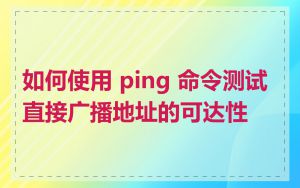 如何使用 ping 命令测试直接广播地址的可达性