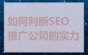 如何判断SEO推广公司的实力