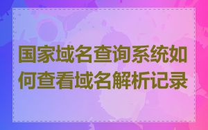国家域名查询系统如何查看域名解析记录