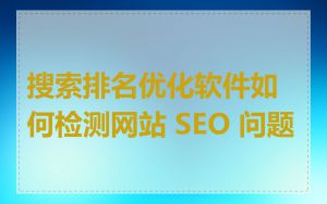 搜索排名优化软件如何检测网站 SEO 问题