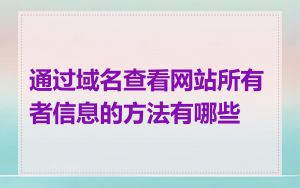 通过域名查看网站所有者信息的方法有哪些