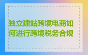 独立建站跨境电商如何进行跨境税务合规
