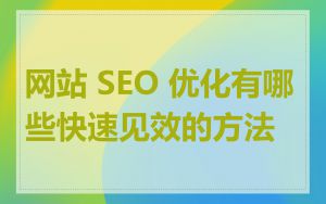 网站 SEO 优化有哪些快速见效的方法