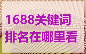 1688关键词排名在哪里看