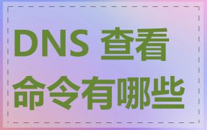 DNS 查看命令有哪些