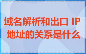 域名解析和出口 IP 地址的关系是什么