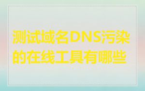 测试域名DNS污染的在线工具有哪些