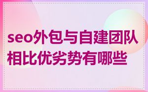 seo外包与自建团队相比优劣势有哪些