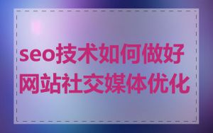 seo技术如何做好网站社交媒体优化