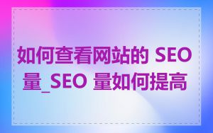 如何查看网站的 SEO 量_SEO 量如何提高
