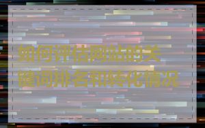 如何评估网站的关键词排名和转化情况