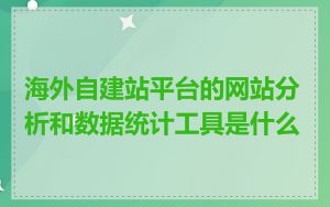 海外自建站平台的网站分析和数据统计工具是什么