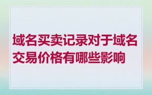 域名买卖记录对于域名交易价格有哪些影响