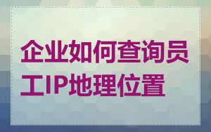 企业如何查询员工IP地理位置