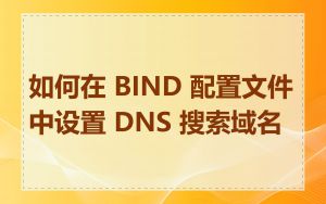 如何在 BIND 配置文件中设置 DNS 搜索域名