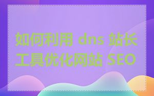 如何利用 dns 站长工具优化网站 SEO