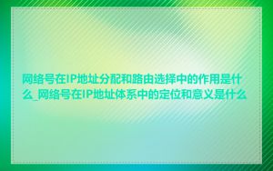网络号在IP地址分配和路由选择中的作用是什么_网络号在IP地址体系中的定位和意义是什么