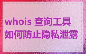 whois 查询工具如何防止隐私泄露