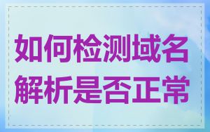 如何检测域名解析是否正常