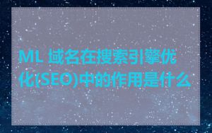 ML 域名在搜索引擎优化(SEO)中的作用是什么