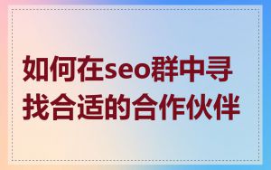 如何在seo群中寻找合适的合作伙伴