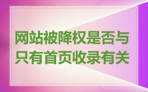 网站被降权是否与只有首页收录有关
