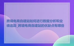 跨境电商自建站如何进行数据分析和业绩追踪_跨境电商自建站的优缺点有哪些