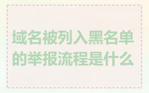 域名被列入黑名单的举报流程是什么