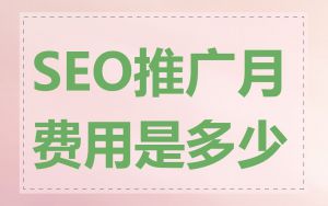 SEO推广月费用是多少