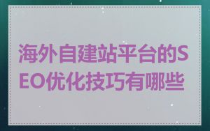 海外自建站平台的SEO优化技巧有哪些
