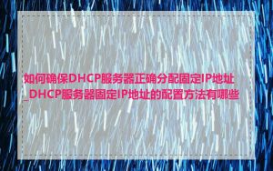 如何确保DHCP服务器正确分配固定IP地址_DHCP服务器固定IP地址的配置方法有哪些