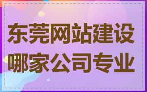 东莞网站建设哪家公司专业