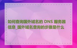 如何查询国外域名的 DNS 服务器信息_国外域名查询的步骤是什么