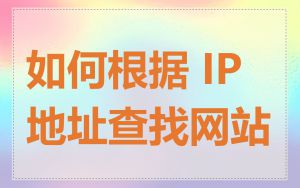 如何根据 IP 地址查找网站