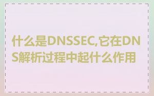 什么是DNSSEC,它在DNS解析过程中起什么作用