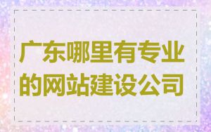 广东哪里有专业的网站建设公司