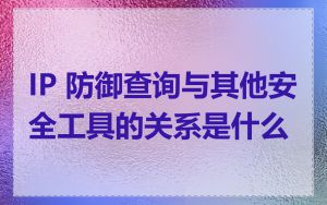 IP 防御查询与其他安全工具的关系是什么